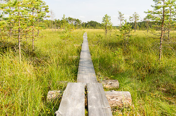 Image showing Wasteland