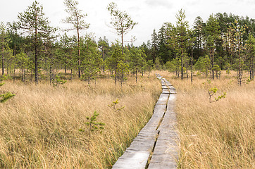 Image showing Boardwalks