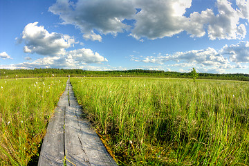 Image showing Boardwalks