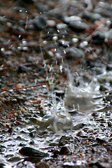 Image showing Drop of water