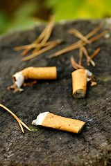 Image showing Cigarette ends