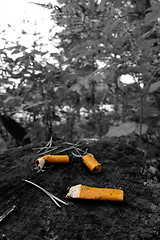 Image showing Cigarette ends