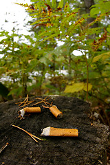 Image showing Cigarette ends