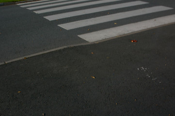 Image showing Pedestrian crossing