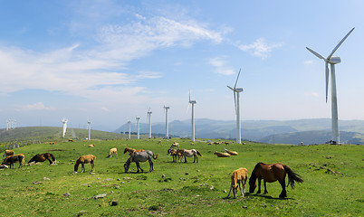 Image showing Wind farm