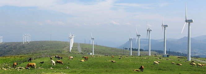 Image showing Wind farm