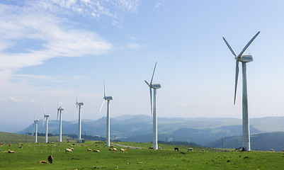 Image showing Wind farm