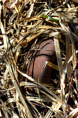 Image showing Rusted pipe