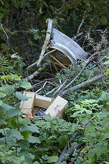 Image showing Junk in the forest