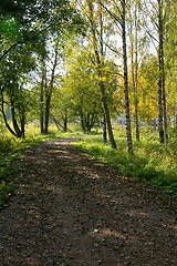 Image showing Dirt road