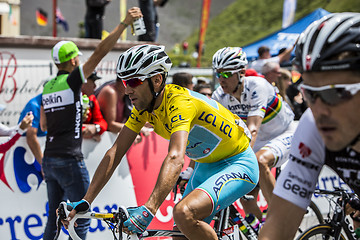 Image showing The Yellow Jersey - Vincenzo Nibali