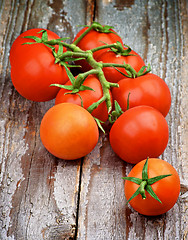 Image showing Cherry Tomatoes