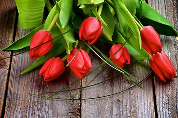 Image showing Red Tulips