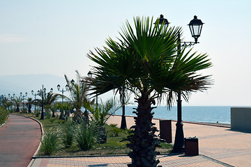 Image showing Curved promenade in good weather