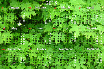 Image showing calendar for 2014 - 2017 years and green leaves of maple