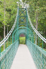 Image showing Old green bridge