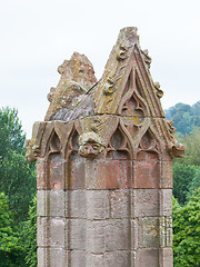 Image showing Details of an forgotten old Scottish Abbey