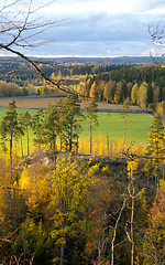 Image showing Autumn colors