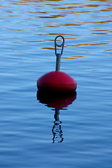 Image showing Buoy