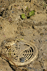 Image showing Drain cover