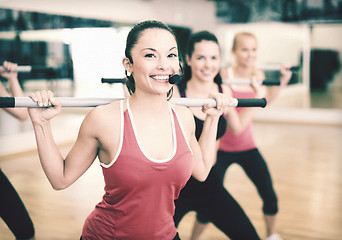 Image showing group of smiling people working out with barbells