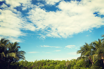 Image showing green forest and cloudy blue sky