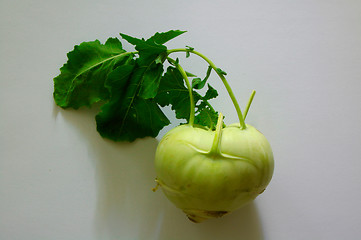 Image showing Kohlrabi