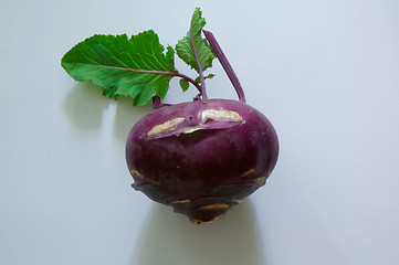 Image showing Kohlrabi