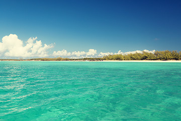 Image showing blue sea or ocean, beach and forest