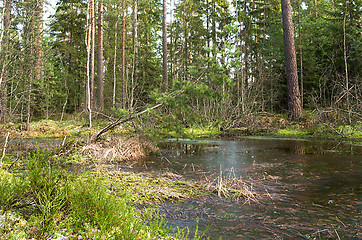 Image showing Landscape