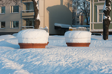 Image showing Winter