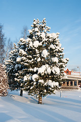 Image showing Winter