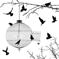 Image showing Cage and birds silhouettes