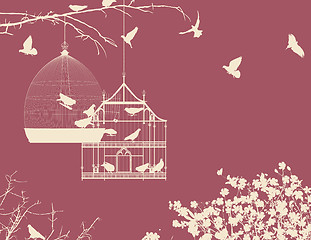 Image showing Birds and birdcages postcard 10