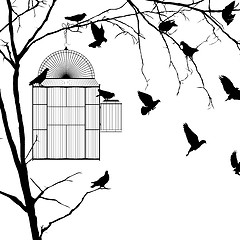 Image showing Bird cage silhouettes