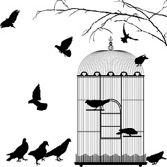 Image showing Birdcage and birds