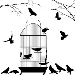 Image showing Open bird cage and birds