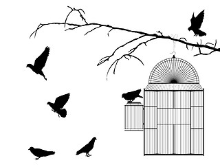 Image showing Bird cage