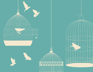 Image showing Birds and birdcages postcard 5