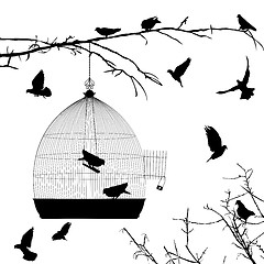 Image showing Birds silhouettes and bird cage