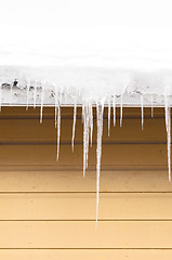 Image showing Icicles