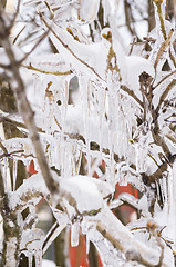 Image showing Icicles