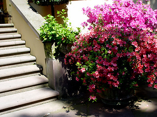 Image showing gardenstairs