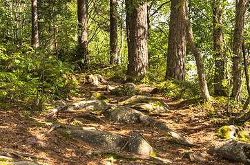 Image showing Rocky road