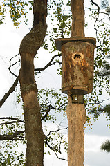 Image showing Birdhouse