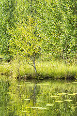 Image showing Pond