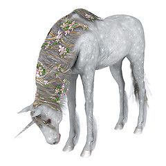 Image showing White Unicorn