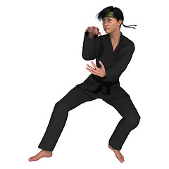 Image showing Martial Arts