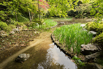 Image showing The scenery of green grass gardening in the pond.