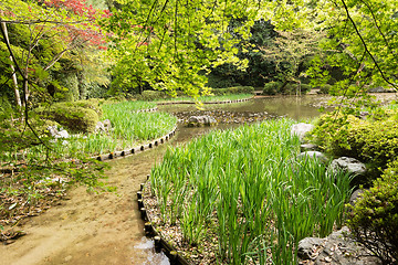 Image showing The scenery of green grass gardening in the pond.